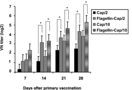 Fig 3. PCV2-neutralization antibody responses after vaccination with the flagellin-Cap fusion and Cap protein