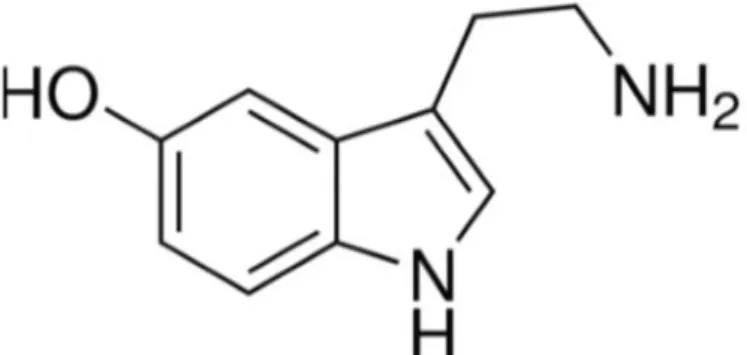 Figura 9. Imagem representativa da molécula de de 5-HT (in Sigma Aldrich).