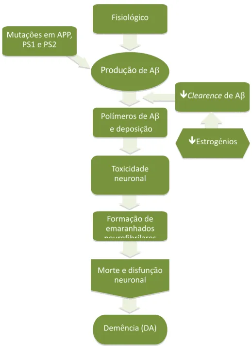 Figura 3 – Hipótese da cascata amilóide. O Aβ é um metabolito normal que, em condições fisiológicas,  é constantemente sintetizado e celeremente degradado