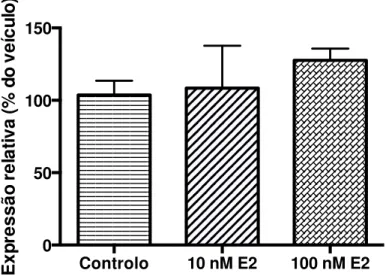 Gráfico  3  - Níveis  de  expressão  do  ARN  mensageiro  do  gene  da  IDE  em  PC  de  rato