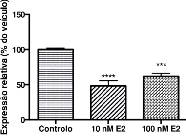 Gráfico  5  –  Níveis  de  expressão  do  ARN  mensageiro  do  gene  da  ApoJ  em  PC  de  rato
