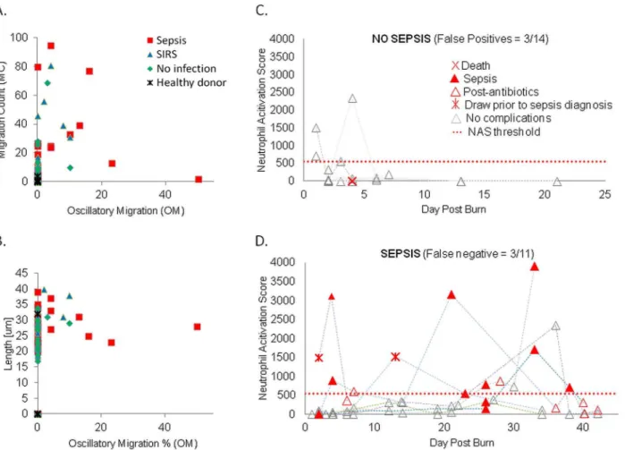 Fig. 3. The components and temporal evolution of neutrophil spontaneous migration score (NAS N ) in patients with major burns