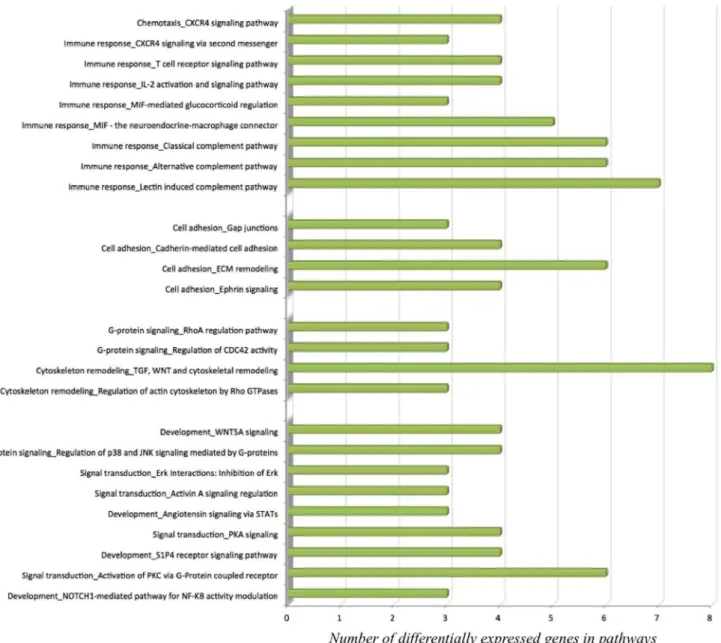Figure 2. Significant pathways (MetaCore MetaCore Bioinformatics software from Thomson Reuters, https://portal.genego.com/) of the gene expression profiles of leukocytes after consumption of monomeric and oligomeric flavanols (MOF) derived from grape seeds