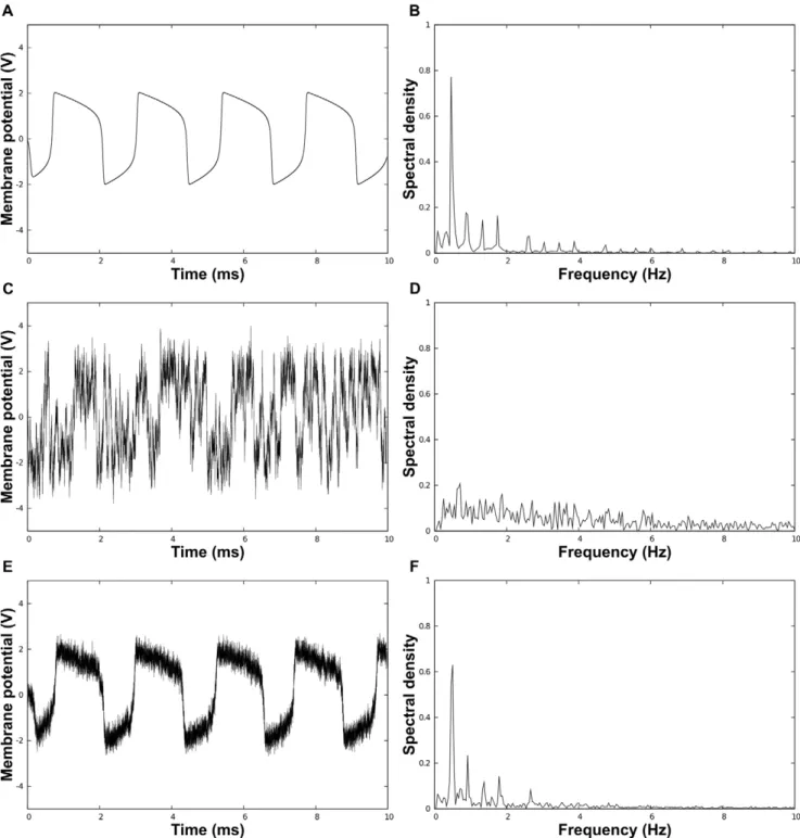 Figure 1. Simulations of a network of FN oscillators using the Euler-Maruyama algorithm [47]