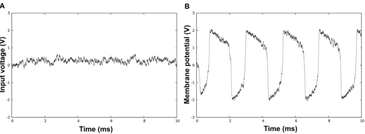 Figure 2. ‘‘Spatial mean’’ of FN oscillators. Note that the same set of random initial conditions was used in the two plots