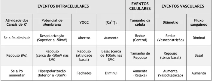 Tabela  1  -  Relação  entre  a  atividade  dos  canais  de  K + ,  potencial  de  membrana  e  a  contratilidade  no  músculo liso