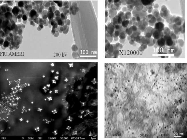 Figure 1. TEM micrograph of magnetic nano particles. The average particle size is , 60 nm.