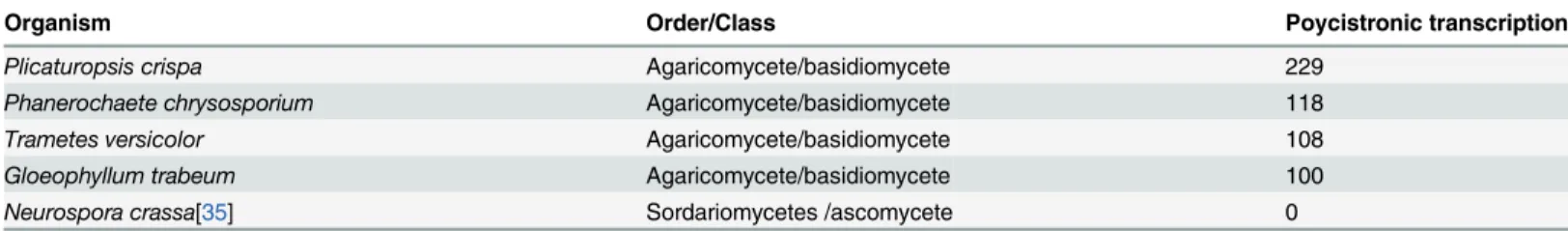 Table 1. Polycistronic transcripts identified in several fungi transcriptomes.