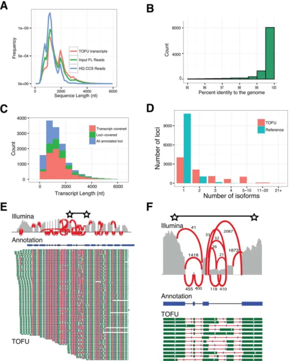 Fig 2. Long, high-quality, consensus sequences accurately benchmark transcript diversity