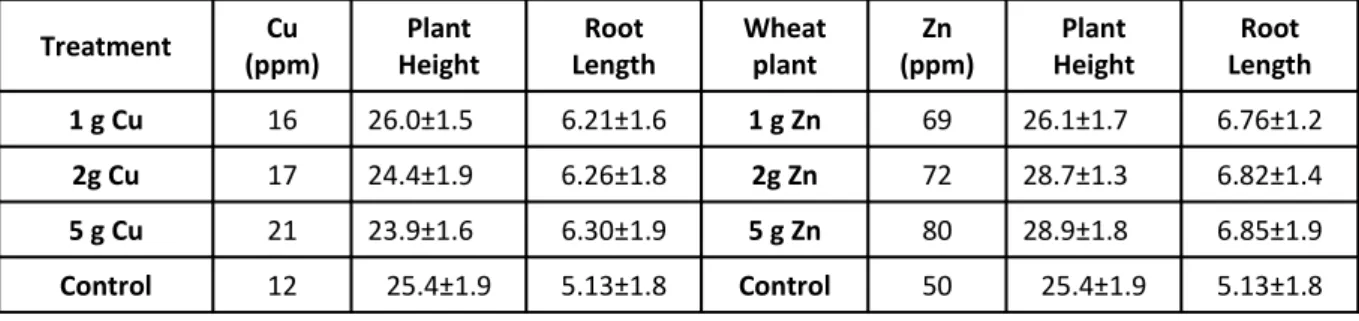 Table 3 shows that the hydrogen peroxide level  was high at high concentration of Zn and Cu in this  cultivar