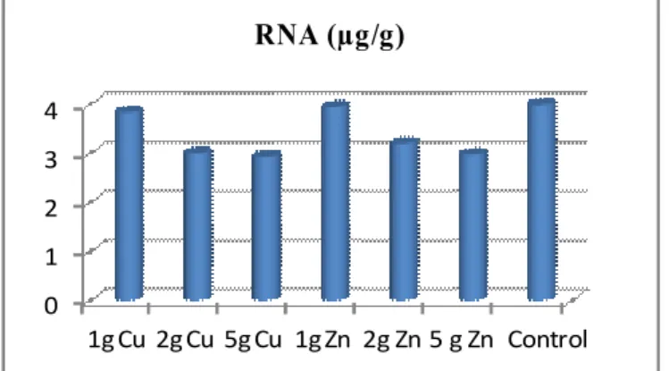 Figure 4. Effect of Cu and Zn on RNA content of wheat Plant.