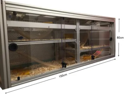 Fig 1. The mouse vivarium.