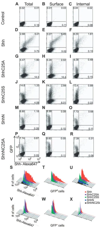 Figure 3. Cholesterol is required for expression of Shh on the cell surface. Shown are flow cytometric data from NIH3T3 fibroblasts co- co-transfected with recombinant Shh variants (0.125 ng) and EGFP (1000 ng), and stained with 5E1-Alexa 647 conjugated an