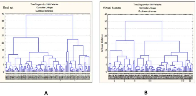 Figure 3. Gene cluster analysis. Hierarchical clustering of real rat (A) and virtual human (B) 100 top ranked transcripts selected after ANNs analysis.