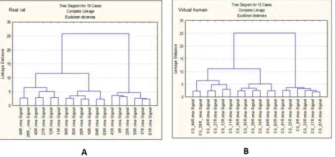 Figure 5 demonstrates that different sets of markers can be identified for EMD in real rat and ‘virtual’ human