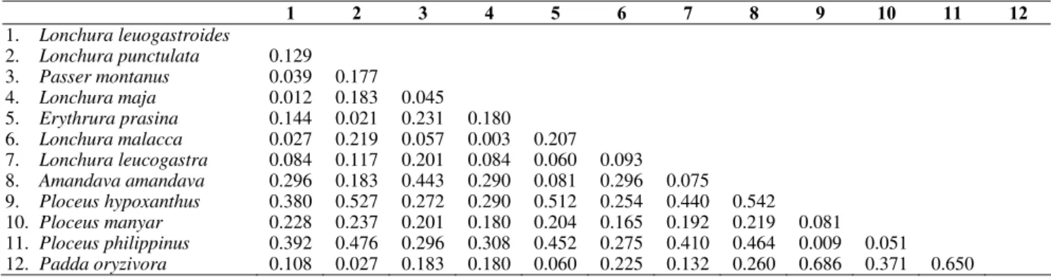 Tabel 1. Genetic distance of Ploceidae mitochondrial ND3 nucleotide sequence by using the neighbor-joining method and calculation of  distance matrix with Kimura 2 –parameter 