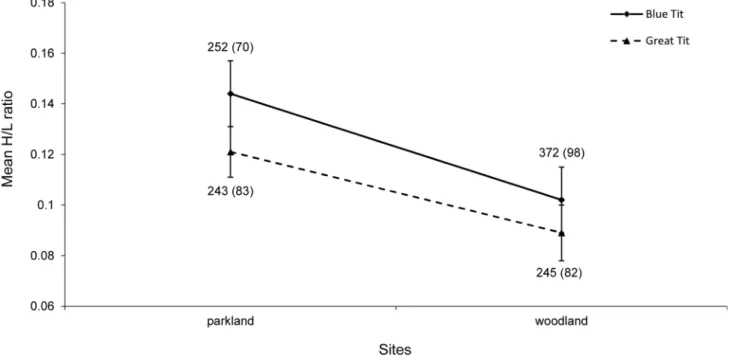 Figure 2. Comparison of blue tit and great tit nestlings in relation to inter-annual variation in mean H/L ratios
