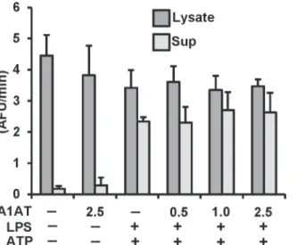 Fig 2. Effect of A1AT on caspase-1 activation in THP-1 cells culture. THP-1 cells pretreated with A1AT (0.5 to 2.5 mg/ml), then LPS 1 μg/ml stimulated for 30 minutes followed by 5 mM ATP challenge for another 30 minutes