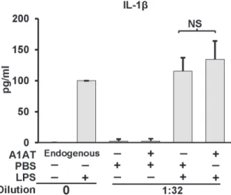 Fig 5. Effect of A1AT on whole blood IL-1β release . IL-1β production in whole blood cultures in response to LPS (1.0 μg/ml) was performed in the presence of endogenous A1AT (i.e., undiluted) or exogenously added A1AT (2 mg/ml) in blood diluted 1:32 with R