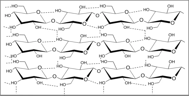 Figure  4  -  Illustration  of  cellulose  structure.  The  dashed  lines  represent  the  inter-  and  intra-chain  hydrogen bonding pattern (Adapted from Festucci-Busell et al., 2007)
