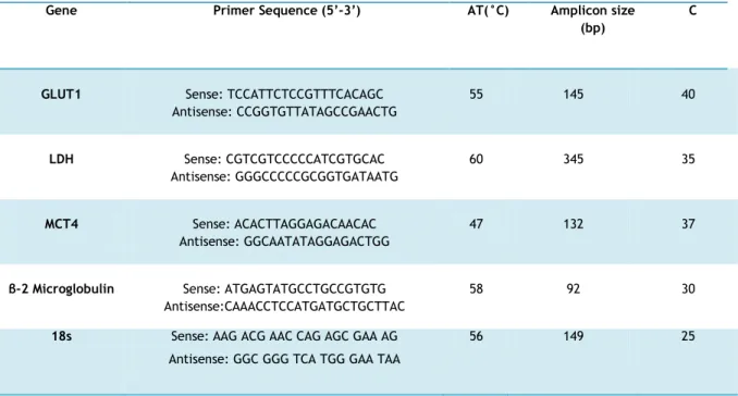 Table 1. Primer sequences, optimal annealing temperature, number of cycles required for exponential amplification  phase of fragments and fragment sizes