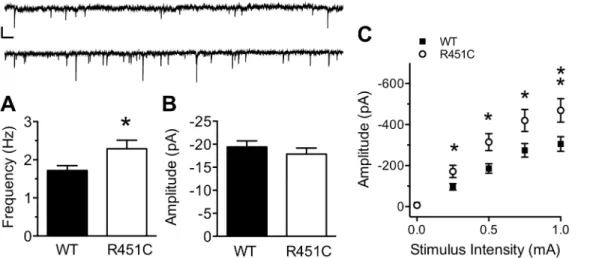 Fig 1. Increased inhibitory synaptic transmission at LII/III synapses from Nlgn3 R451C mice