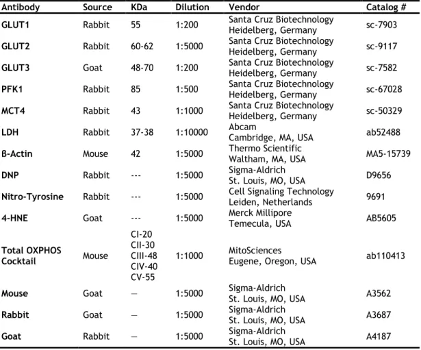 Table 3.3 List of the primary and secondary antibodies used in this study. 