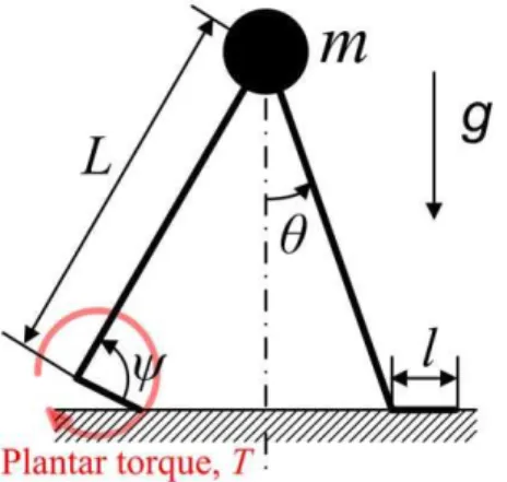 Figure 1. A schematic of the walking model. A point mass is restrained by rigid massless legs