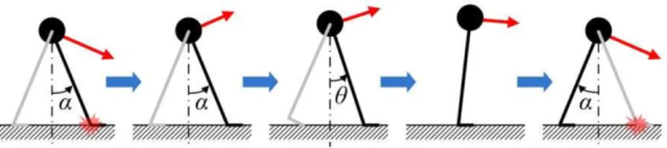 Figure 2. One step cycle of the walking model. The end and beginning of a step is the moment when the leading foot collides with ground.