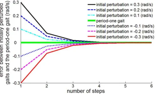 Figure 4. Asymptotic stability of period-one gait. Errors in initial conditions of angular velocity converge to zero as the number of steps increases.