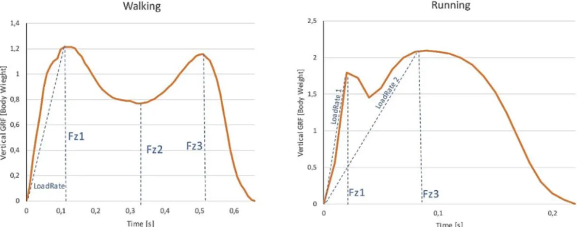 Figure  1.  Typical  vertical  ground  force  (GRF)/time  curves  from  one  of  the  participants  during  unloaded  walking  and  running,  demonstrating  the  first  peak  (impact  force  peak—Fz1),  relative  minimum (Fz2), the second peak (Fz3), and t