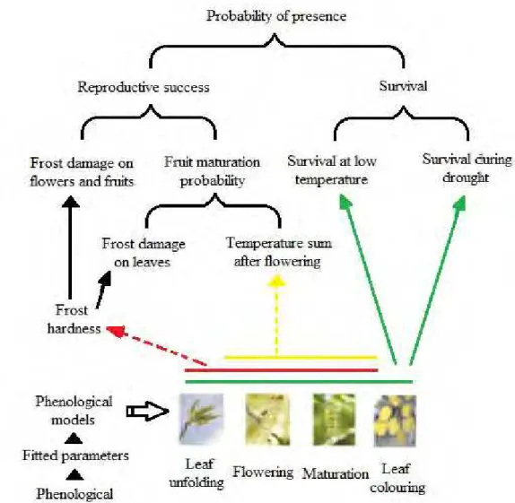 Fig. 1 Intimate relationship between phenology and climate change (Redrawn after Cleland, 2002)
