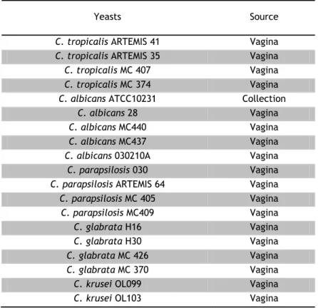 Table 1 shows the strains of Candida selected for the study and their source. 