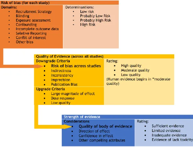 Figure 4 -  Diagram representing the “Navigation Guide Systematic Review Methodology” protocol used  to classify the quality and strength of evidence in humans