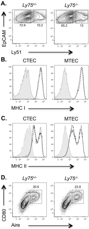 Figure 2. Flow cytometric analysis of CD205-deficient thymi does not reveal defects in thymic epithelial compartments.