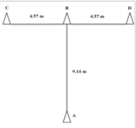 Figure 1. A T-Test diagram adapted from Semenick [31]. 