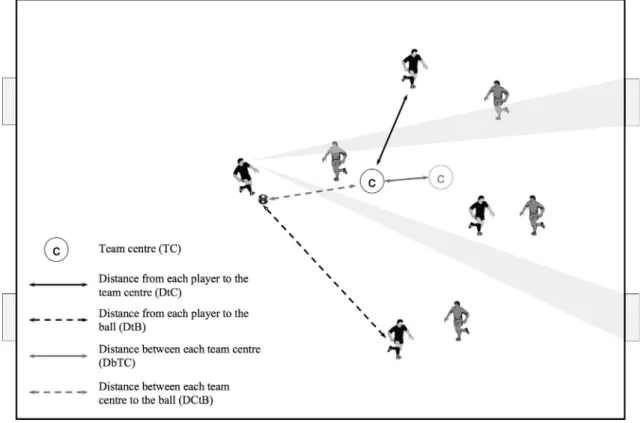 Fig. 1. Representation of the computed variables for the players and teams ’ tactical behaviour.