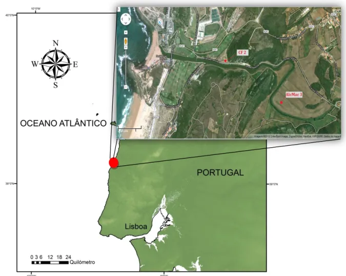 Figura 8 – Locais de amostragem das sondagens recolhidas na bacia do Rio Alcabrichel (Fonte da imagem aérea: 