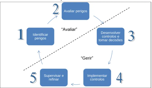 Ilustração 4.11 Processo de GRisc. 