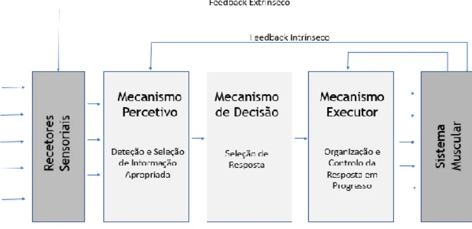 Figura 2.1 - Modelo de processamento da performance desportiva adaptado de (14). 