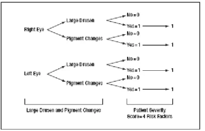 Figura  4.  Pontuação  dos  factores  de  risco.  Fonte:  Archives  of  Ophthalmology, 123, 1570-1574, 2005