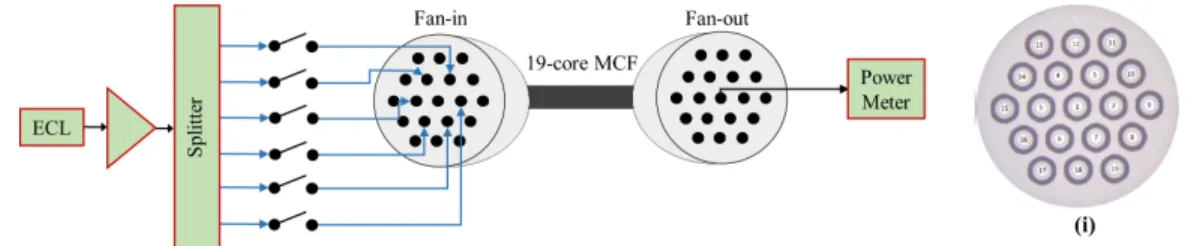 Fig. 1. Experimental setup implemented in the lab to measure the STAXT. (i) Profile of the 19-core MCF.