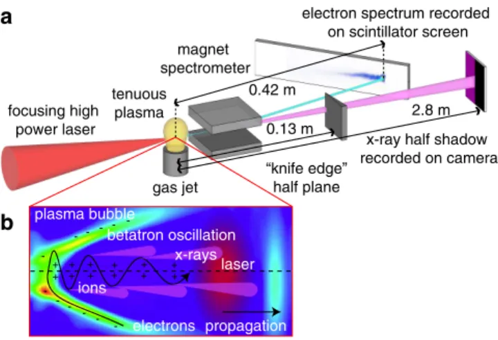 FIG. 1. Schematic of the (a) experimental setup and (b) inside of the plasma wakefield.