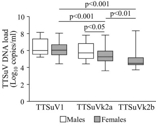 Figure 3. Box plots TTSuV DNA load in the overall infections of male and female pigs. Significant differences in mean viral load are indicated by p values.