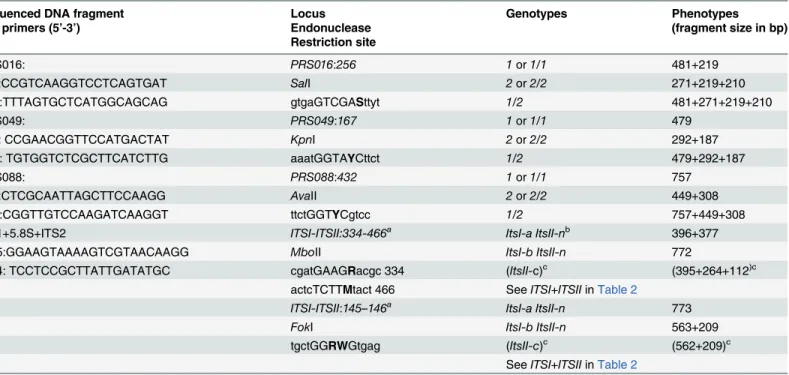 Table 1. Cleaved amplified polymorphic sequence markers used to study allelic segregation of the CA487.