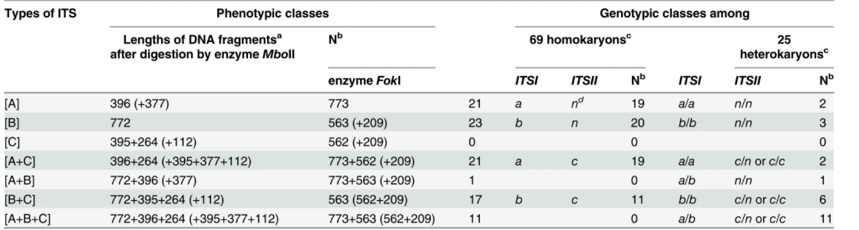 Table 2. ITS phenotypes of 94 single spore isolates of strain CA487 and their genotypic interpretation under the hypothesis of two loci ITSI and ITSII.
