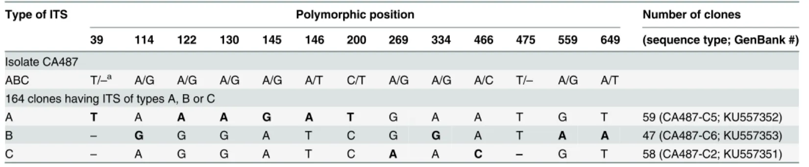 Table 3. Types of ITS revealed by polymorphisms at 13 positions among 164 clones of CA487.
