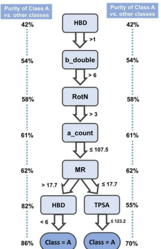 Figure 8. Schematic representation of the most important decision rules for the classification of class A compounds within the decision tree built from the proteasome inhibitors dataset.