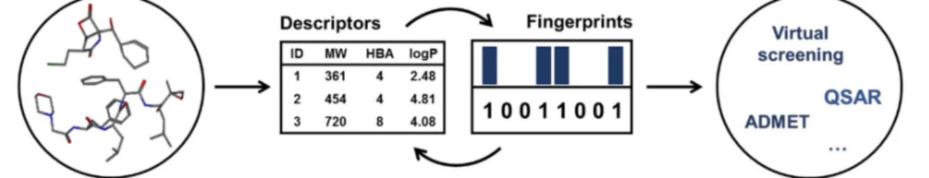 Figure 1. Molecular descriptors and fingerprints are examples of strategies that allow researchers to extract important information about compounds that can be used in additional computer-aided drug design techniques, such as virtual screening, quantitativ