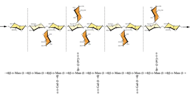 Figura 8. Esquema da estrutura da hemicelulose do tipo galactomananos encontrada na parede  celular primária das plantas (Fonte: CARPITA e McCANN, 2000)